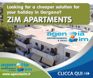 Zim Apartments